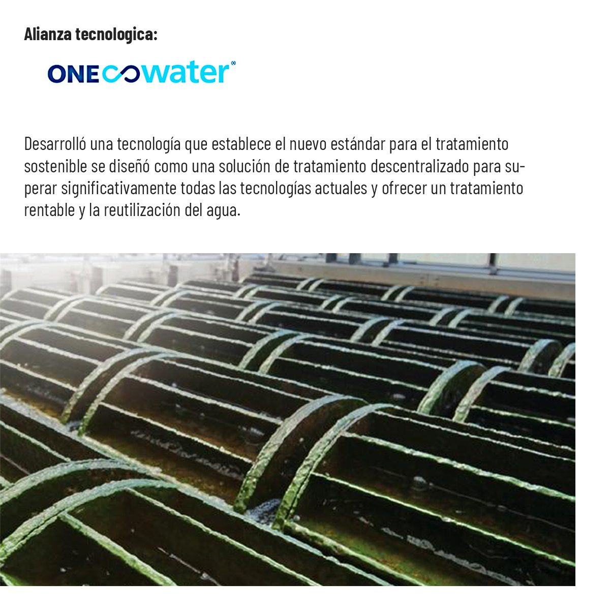 Alianza tecnológica con ONE WATER, que desarrolló una tecnología que establece el nuevo estándar para el tratamiento sostenible: se diseñó como una solución de tratamiento descentralizado para superar significativamente todas las tecnologías actuales y ofrecer un tratamiento rentable y la reutilización del agua. En imagen, módulos de tratamiento biológico de agua.