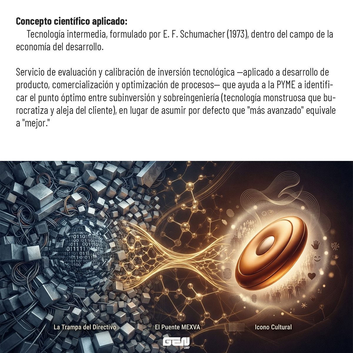 Concepto científico aplicado: tecnología intermedia, formulada por E. F. Schumacher (1973), dentro del campo de la economía del desarrollo. Servicio de evaluación y calibración de inversión tecnológica —aplicado a desarrollo de producto, comercialización y optimización de procesos— que ayuda a la PYME a identificar el punto óptimo entre subinversión y sobreingeniería, esa tecnología monstruosa que burocratiza y aleja del cliente, en lugar de asumir por defecto que «más avanzado» equivale a «mejor».